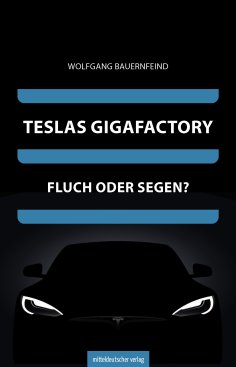 eBook: Teslas Gigafactory