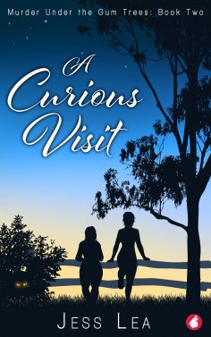 eBook: A Curious Visit