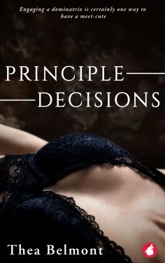 eBook: Principle Decisions