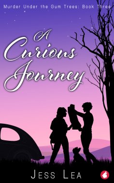 eBook: A Curious Journey