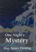 eBook: One Night's Mystery