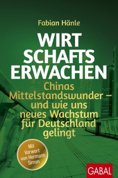 eBook: Wirtschaftserwachen