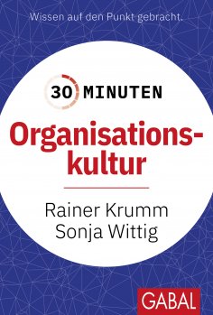 ebook: 30 Minuten Organisationskultur