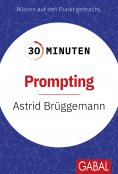 ebook: 30 Minuten Prompting