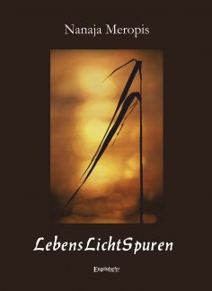 ebook: LebensLichtSpuren