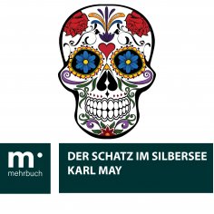 ebook: Der Schatz im Silbersee