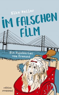 eBook: Im falschen Film