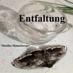 eBook: Entfaltung