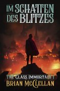 eBook: Im Schatten des Blitzes