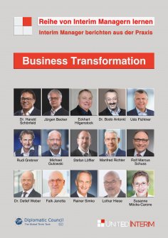 ebook: Business Transformation: Interim Manager berichten aus der Praxis