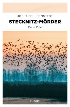 eBook: Stecknitz-Mörder