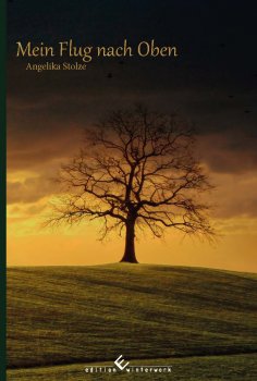 ebook: Mein Flug nach oben