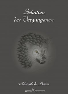 eBook: Schatten des Vergangenen Band 2