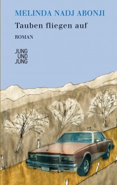 ebook: Tauben fliegen auf