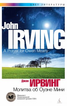 ebook: A prayer for Owen Meany
