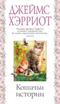 ebook: James Herriot's Cat Stories