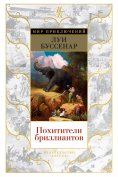 eBook: Pohititeli brilliantov