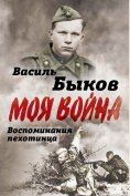 ebook: The cruel truth of war. Memories of an Infantryman