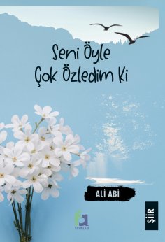 eBook: SENI OYLE COK OZLEDIM KI