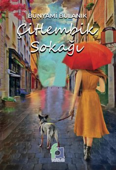 eBook: Citlenbik Sokagi