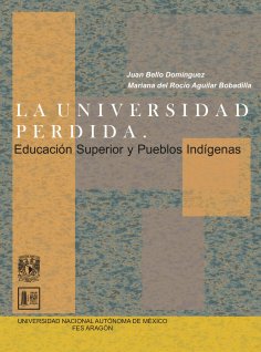 ebook: La universidad perdida. Educación superior y pueblos indígenas