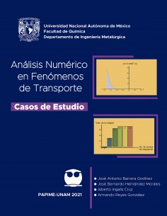 ebook: Análisis numérico en fenómenos de transporte. Casos de estudio