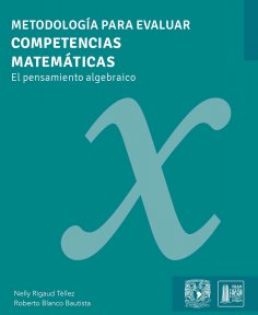 ebook: Metodología para evaluar competencias matemáticas. El pensamiento algebraico