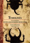 ebook: Temolines. Los coleópteros entre los antiguos mexicanos