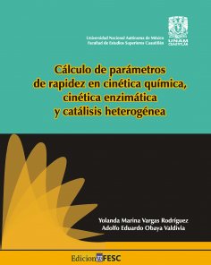 ebook: Cálculo de parámetros de rapidez en cinética química, cinética enzimática y catálisis heterogénea