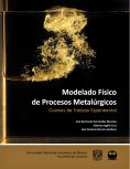ebook: Modelado Físico de Procesos Metalúrgicos. Guiones de Trabajo Experimental