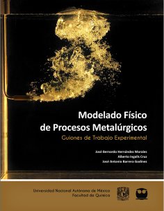 eBook: Modelado Físico de Procesos Metalúrgicos. Guiones de Trabajo Experimental