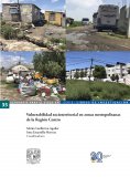ebook: Vulnerabilidad socioterritorial en zonas metropolitanas de la Región Centro