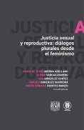 ebook: Justicia sexual y reproductiva: Diálogos plurales desde el feminismo