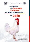 eBook: Introducción a la anatomía y fisiología del aparato reproductor del gallo