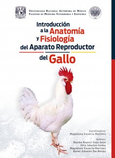 eBook: Introducción a la anatomía y fisiología del aparato reproductor del gallo
