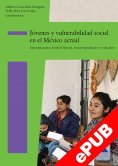 ebook: Jóvenes y vulnerabilidad social en el México actual