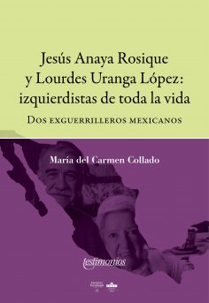 ebook: Jesús Anaya Rosique y Lourdes Uranga López