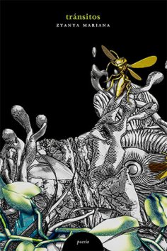 ebook: Tránsitos