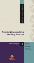 eBook: Neoconstitucionalismo, Derecho y derechos