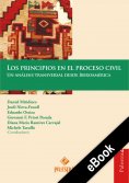 eBook: Los principios en el proceso civil