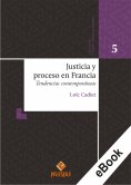 eBook: Justicia y proceso en Francia