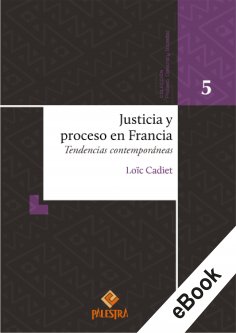 eBook: Justicia y proceso en Francia