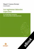 ebook: Los regímenes laborales especiales