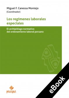 ebook: Los regímenes laborales especiales