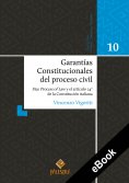ebook: Garantías Constitucionales del proceso civil