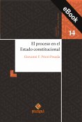 ebook: El proceso en el Estado constitucional
