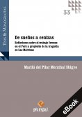 eBook: De sueños a cenizas