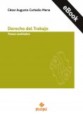 eBook: Derecho del Trabajo