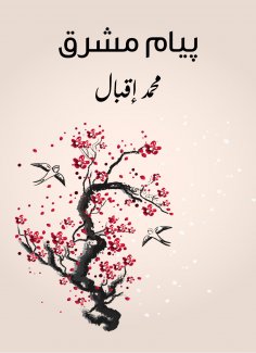 eBook: Biem is bright