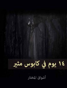 eBook: 14 days in an exciting nightmare